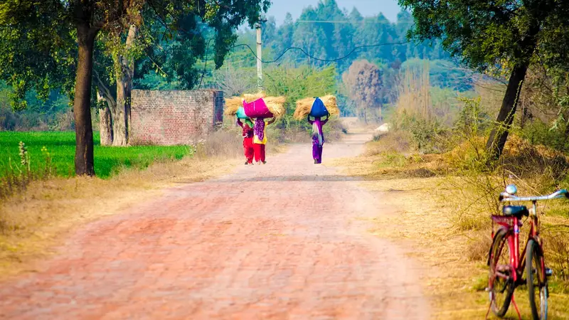 ईंटों वाली गाँव की सड़क पर सिर पर चारे के गट्ठर लेकर जाती तीन महिलाएँ, पीछे से दिखती हुई; सड़क किनारे खड़ी लाल साइकिल और हरा खेत